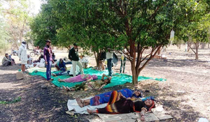 Lang băm nông thôn Ấn Độ ăn nên làm ra trong mùa dịch