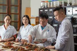 Thầy thuốc đông y Nguyễn Kim Cương và nỗ lực kết nối bệnh nhân online