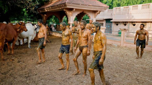 Bác sĩ Ấn Độ lên án cách dùng nước tiểu bò chữa COVID-19