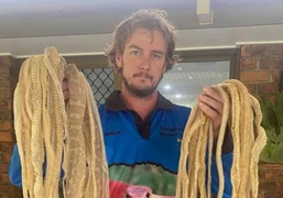 Rắn leo lên mái nhà dân 'thay áo', để lại hơn 50 bộ da