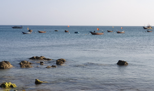 Quảng Ngãi động viên ngư dân sản xuất bình thường trước lệnh cấm phi pháp của TQ