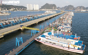 Ảnh: Cận cảnh hơn 500 tàu du lịch nằm 'ngắc ngoải' bên bờ Vịnh Hạ Long