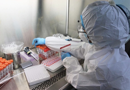 Việt Nam ghi nhận thêm 31 ca COVID-19, 12 trường hợp được cách ly ngay