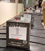 Nhân viên gửi nhiều kiện hàng ghi 'Bộ trưởng Bộ GTVT’ bị thôi việc