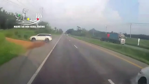 Video: Tông trúng gốc cây, ô tô 7 chỗ bẹp rúm, biến dạng 