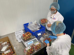 Sầu riêng, vải thiều lũ lượt lên 'sàn'