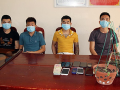 Lật tẩy thủ đoạn lừa đảo 'lan đột biến' chiếm đoạt 3,5 tỷ đồng