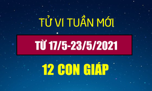 12 con giáp tuần mới 17/5-23/5: Sửu thăng tiến, Thìn thu lợi nhuận lớn