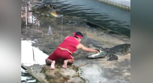 Cú giật mình của diễn viên xiếc khi cho tay vào miệng cá sấu 