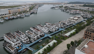 Hơn 500 tàu du lịch Hạ Long nằm ‘chờ chết’, chủ tàu gửi đơn cầu cứu Thủ tướng