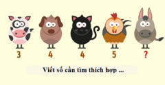Thử thách IQ: Câu đố lạ về các con số thử thách sự nhanh nhạy của chính bạn