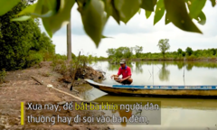 Clip: Tuyệt chiêu bắt ba khía bằng bẫy chuột của nông dân Cà Mau