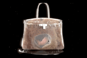 Sử dụng công nghệ blockchain, túi Hermès NFT hình bào thai có giá 23.500 USD