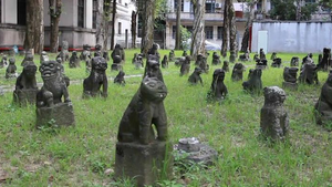 Video: Bí ẩn 500 tượng chó đá nghìn năm tuổi ở Trung Quốc