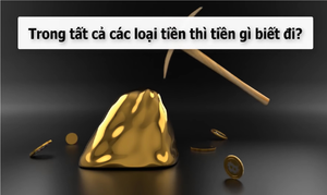 Đố mẹo: Tiền gì biết đi?