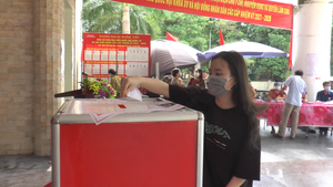 Video: Giới trẻ Hà Nội tự hào lần đầu tiên đi bỏ phiếu bầu cử