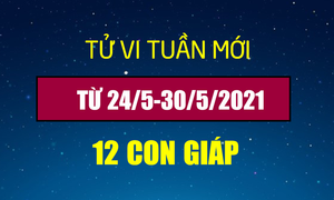 12 con giáp tuần mới 24/5-30/5: Dần được lòng lãnh đạo, Dậu tiền bạc đầy tay