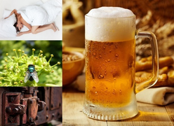 10 công dụng 'thần thánh' của bia rất ít người biết