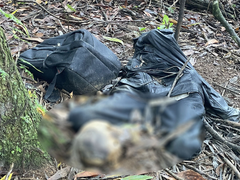 Phát hiện thi thể đang phân hủy tại rừng tràm ở Lâm Đồng