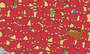 5 câu đố thách thức độ tập trung và khả năng quan sát của bạn