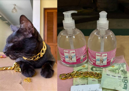 Bị truy tìm vì ăn cắp vòng của mèo, kẻ trộm trả lại đồ kèm theo tiền lãi