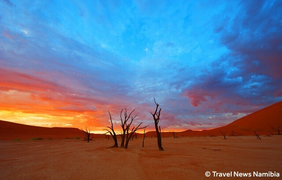 ‘Đầm lầy chết’ hơn 900 năm tuổi hiện lên giữa sa mạc như bức tranh tuyệt mỹ