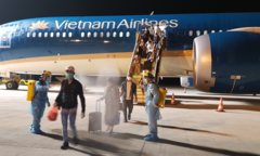 Các chuyến bay đưa người nhập cảnh tạm thời không hạ cánh xuống TP.HCM