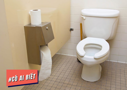 Có ai biết: Đến toilet cũng có ngày lễ riêng mang tên Ngày Toilet Thế giới