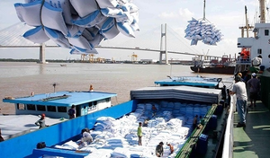 9 thuyền viên tàu chở gạo từ Ấn Độ về TP.HCM dương tính SARS-CoV-2