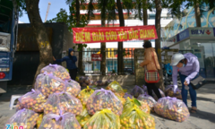 Giải cứu vải thiều Bắc Giang với giá 20.000 đồng/kg ở Hà Nội