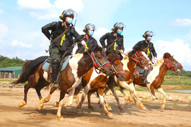 Cảnh sát cơ động cưỡi chiến mã, nổ súng trấn áp tội phạm