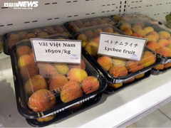 Khách hàng Nhật Bản cam kết nhập khẩu khoảng 1 nghìn tấn vải thiều từ Bắc Giang