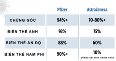 Hiệu quả của vaccine COVID-19 với từng loại biến thể virus SARS-CoV-2 thế nào?
