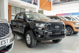 Bất chấp COVID-19, nhiều ô tô mới sắp mở bán trong tháng 6