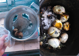 Bằng chứng việc người ‘có thù với bếp’ nấu ăn thì trứng luộc cũng ra thảm họa