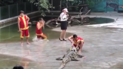 Clip: Lý do 'củ chuối' khiến nghệ sĩ diễn xiếc với cá sấu vùng chạy