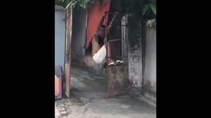 Thanh niên đu cổng làm đổ cột bê tông