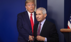 Chuyên gia dịch tễ Anthony Fauci nhận số lượng thư khổng lồ trong đại dịch