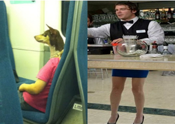 Những bức ảnh trêu đùa thị giác khiến bạn phải nghi ngờ đôi mắt của chính mình