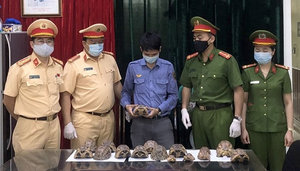 Bắt giữ nhân viên đường sắt vận chuyển 17 con rùa quý hiếm trong sách đỏ