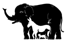 Thử tài tinh mắt: Có bao nhiêu con vật trong bức hình?