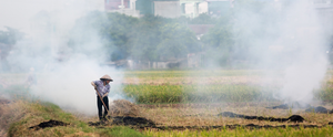 Dân đốt rơm rạ, không khí Hà Nội bị xếp hạng ô nhiễm nhất thế giới