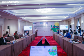 Thanh niên Việt Nam hành động vì khí hậu