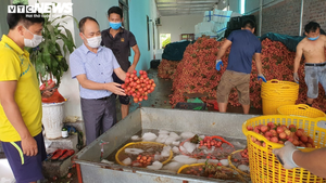 Người dân khi mua bán vải thiều Bắc Giang cần chú ý điều này