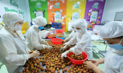 Chủ tịch Bắc Giang: Không vì bán được thêm vải mà để lây dịch sang nơi khác