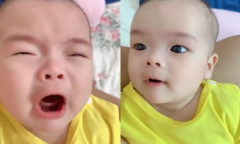 Em bé vừa gào khóc vừa hé mắt canh chừng bố