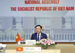 Việt Nam đề xuất chia sẻ và tiếp cận công bằng nguồn vaccine ở AIPA 2021