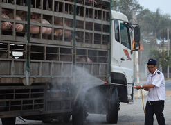 Hiệp hội Vận tải hàng hoá TP.HCM kiến nghị tiêm vaccine COVID-19 cho tài xế