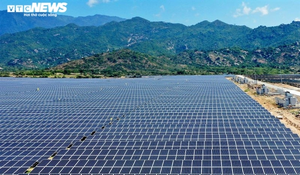 ‘Đổ' tiền làm điện mặt trời rồi thừa điện: Doanh nghiệp cắn răng giảm công suất