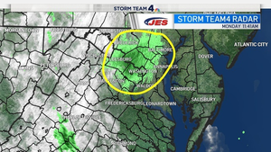 Tỷ con ve sầu xuất hiện trên radar thời tiết Mỹ